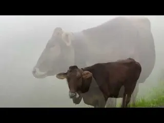 Life in Swiss Alpine Villages Far from Civilization