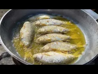 Cooking Fish from Our Lakes Fried Fish Outdoors in the