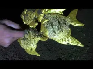 Inside the Secret Gold Factory The High Tech Process Behind