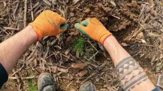 L oggetto più strano o vecchio che abbia mai trovato Xp ORX