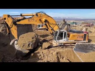 Excavators Wheel Loaders Bulldozers Heavy Hauls On