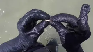 é Tanto ouro que já achei com detector de metal que enche