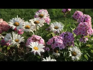 Preparing Our Home for Autumn Wooden Furniture Painting