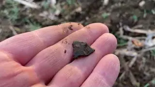 Minelab MANTICORE Finds SILVER and SUPER OLD Artifacts