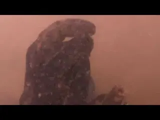 Nem acreditei o que achei quando mergulhei 05 achei vários