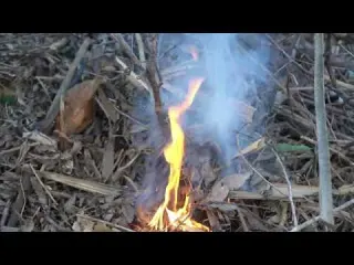How I Built a Bamboo House from Scratch to Survive and