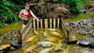 Using a Creative Bamboo Trap to Block the Stream