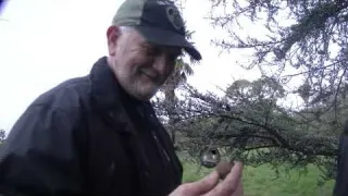 Un Trésor dans votre jardin Qui peut perdre ça avec GussDx