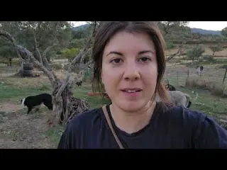 He tenido que apartar a estas corderas empieza la recta