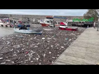 Zonguldak ta balıkçı tekneleri deniz yüzeyini kaplayan
