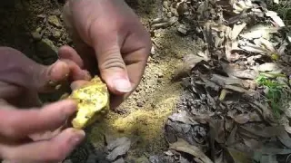 The treasure hunter s luck burst the tent and dug up a
