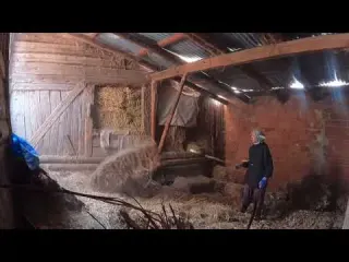 SEZON AÇILDI AKŞAM YUMURTALARINI TOPLADIK BENİ ŞAŞIRTTI