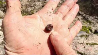 How I search for crevices that should hold gold