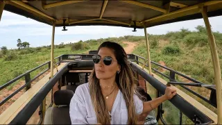 Asi es un safari en Uganda Una locura