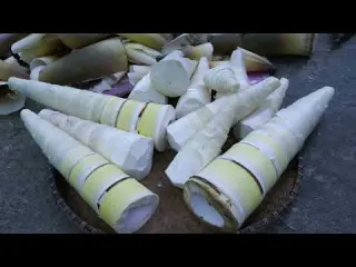 How to make traditional Vietnamese pickled bamboo shoots