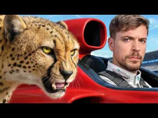 World s Fastest Car Vs Cheetah