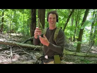 Metal Detecting Old Home Site Leads Us To The Bottle Dump