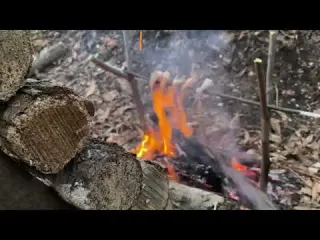 Three days all alone in the woods Building a Shelter
