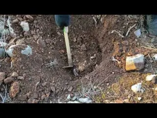 Finding banknotes and gold coins