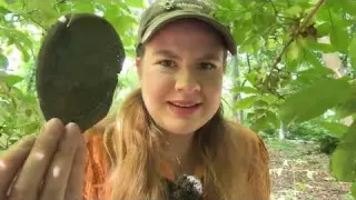 Treasure Hunting Obstacle Course Searching for Historic