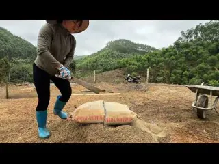 Episode 1I hello This Is Tieu Nha s Daily Life