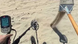 Look What Someone Dropped in the Sand
