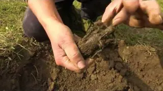 The treasure hunter s luck burst the tent and dug up a