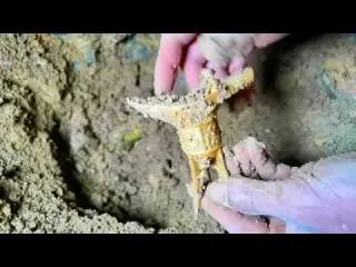 Mysterious Ghost Cave Discovery of Rhinoceros Golden Cup