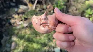Um what on Earth did we Find Mudlarking at low tide