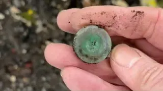 Well It s not Everyday You Find One Of These Mudlarking at
