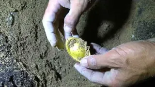 Searching for treasure in the wilderness I accidentally