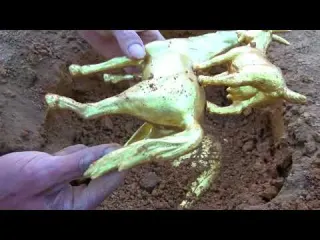 The Mystery of the Treasure Gold Beads and Metal Detectives