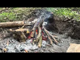 Building a Hidden Dugout Under a Stumps Warm secret shelter
