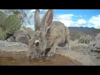 100 Degree Temps Who needs WATER