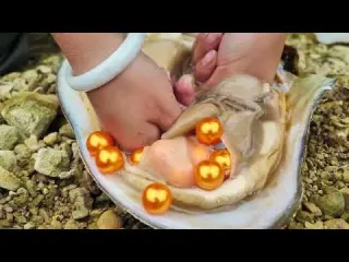 Strange and beautiful mutated river clams a golden expanse