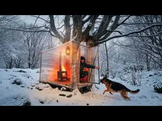 Winter Survival Wrapping a Tree with Plastic to Stay Warm