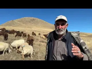 SÜRÜYE 100 KOYUN DAHA KATILDI ÇOBANLIĞIN SORUNLARI ÜZERİNE
