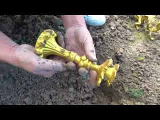 The treasure metal detector of the mysterious island takes