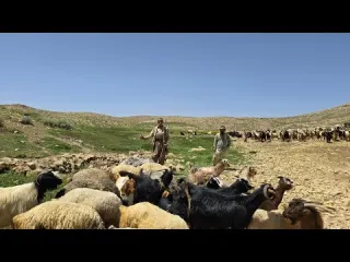 lran nomadic Life A Journey to the Lush Mountains of Iran