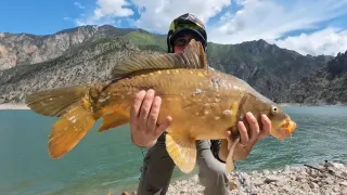 fishing sazan carpfishing sazanavı carp