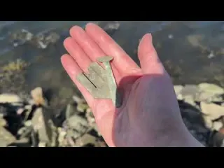 Rising Tide Strange Hoard an Indestructible Find Mudlarking