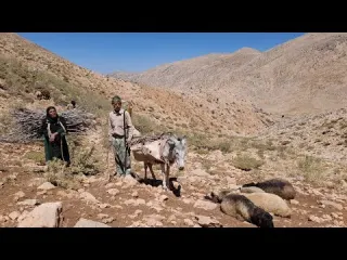 Iran nomadic life traveling to the mountains to fetch