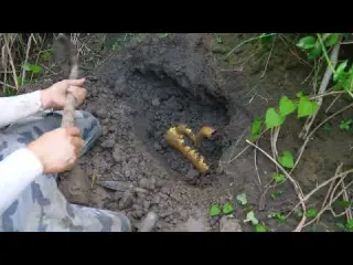 Find a treasure gathering place in the wilderness and make