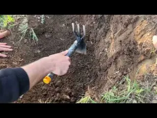 Yakalandık Defineyi Çıkarırken Çoban Gördü