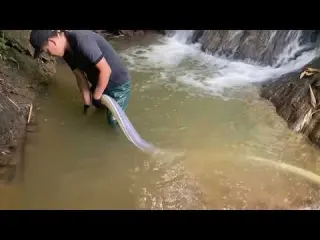 Unbelievable Digging Up the World s Biggest Natural GOLD