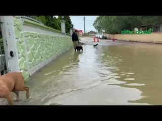 Sakarya da Sel Sonrası Mahallelere Sandalla Ulaşım