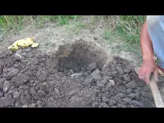 Maiores Tesouros Roubados ja Encontrados Ginho da Selva