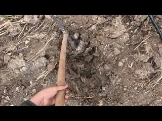 İnanılmaz Define Yerleşim Yerine Baktık