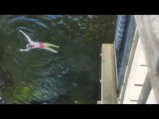 Wild Swim in Northumberland s Ancient Woodland Alan Banks