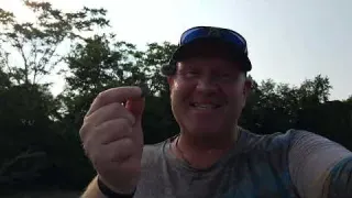 WHAT in the WORLD did I just FIND Metal Detecting on the
